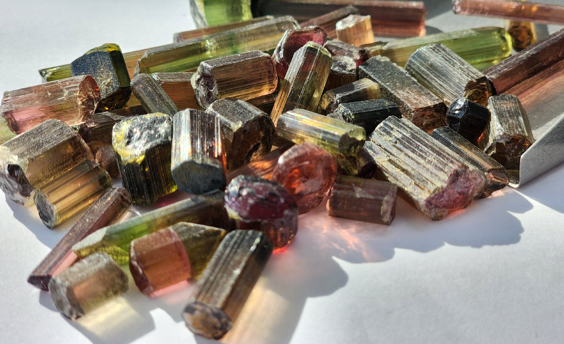 Iridis Held World’s First Rough Tourmaline Auction in Bangkok – 887kg on display, 98% sold by value and 91% by weight