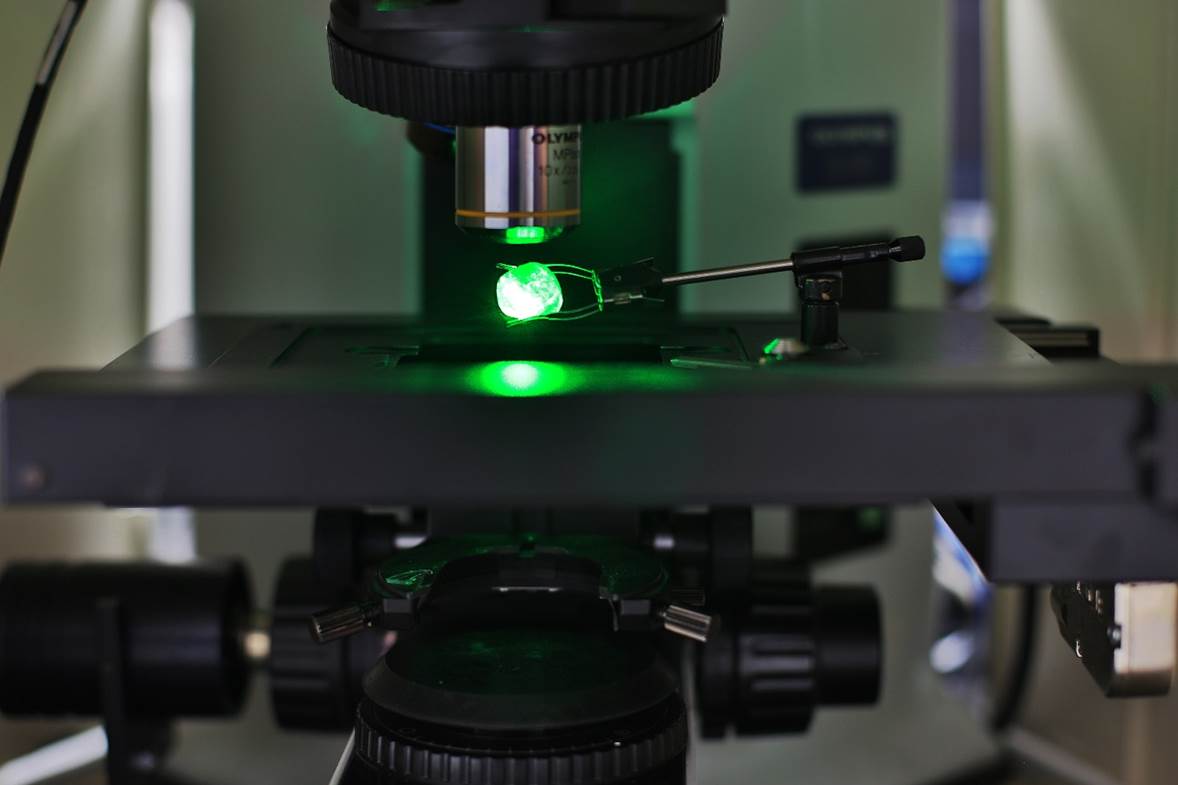 20 Years of Research and Certification of the Colombian Emerald – CDTECGemlab