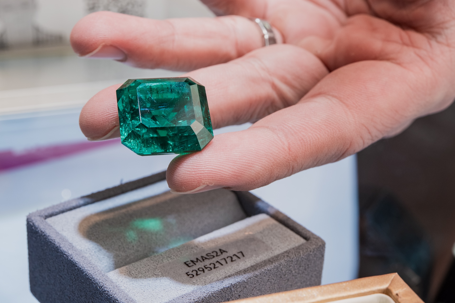 Discover Unmatched Variety at Upcoming Bangkok Gems in February 2026