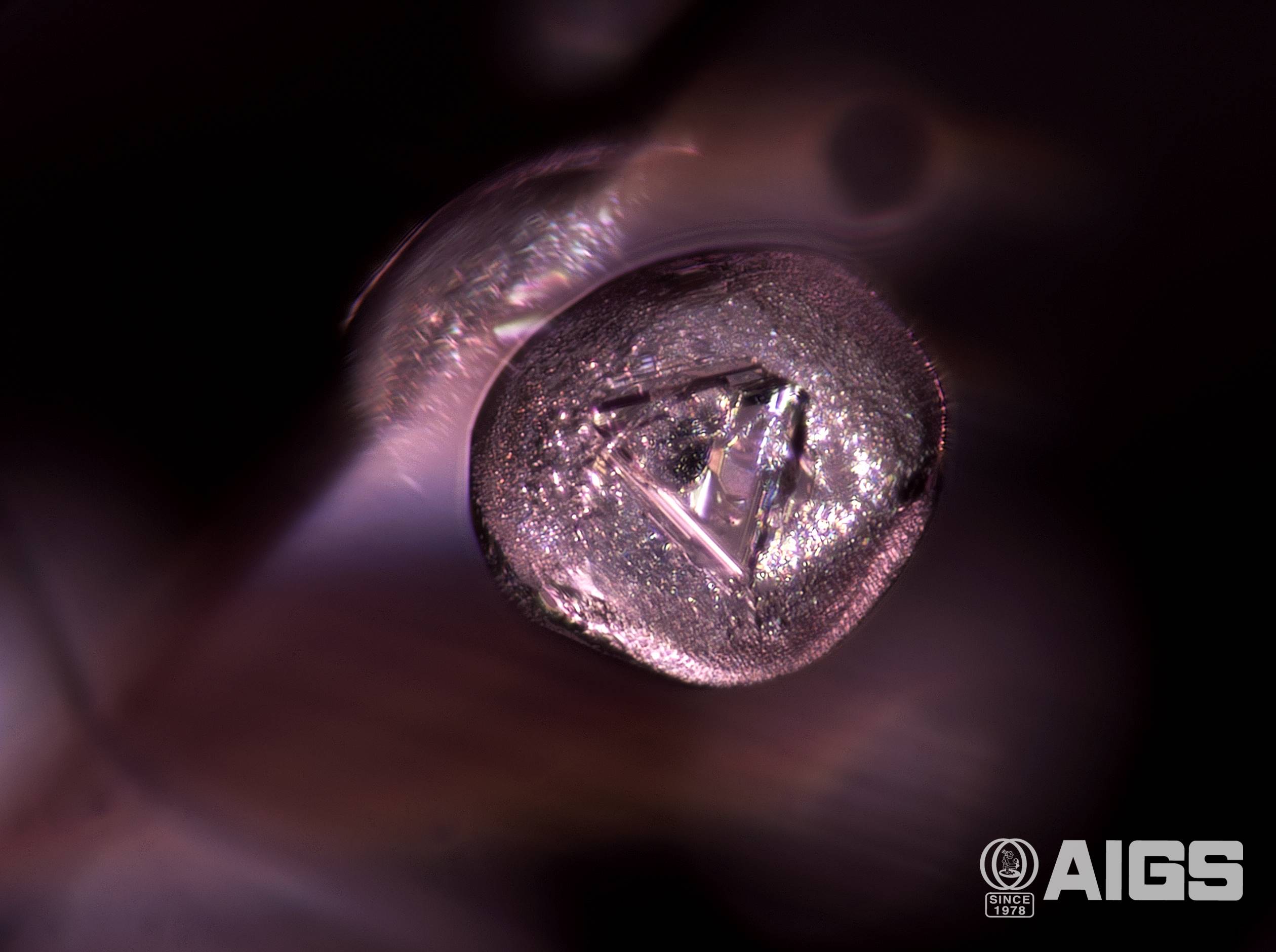AIGS Inclusion of the Month (March 2026) – “Belly Button” Apatite Inclusion in Unheated Spinel from Mogok, Myanmar
