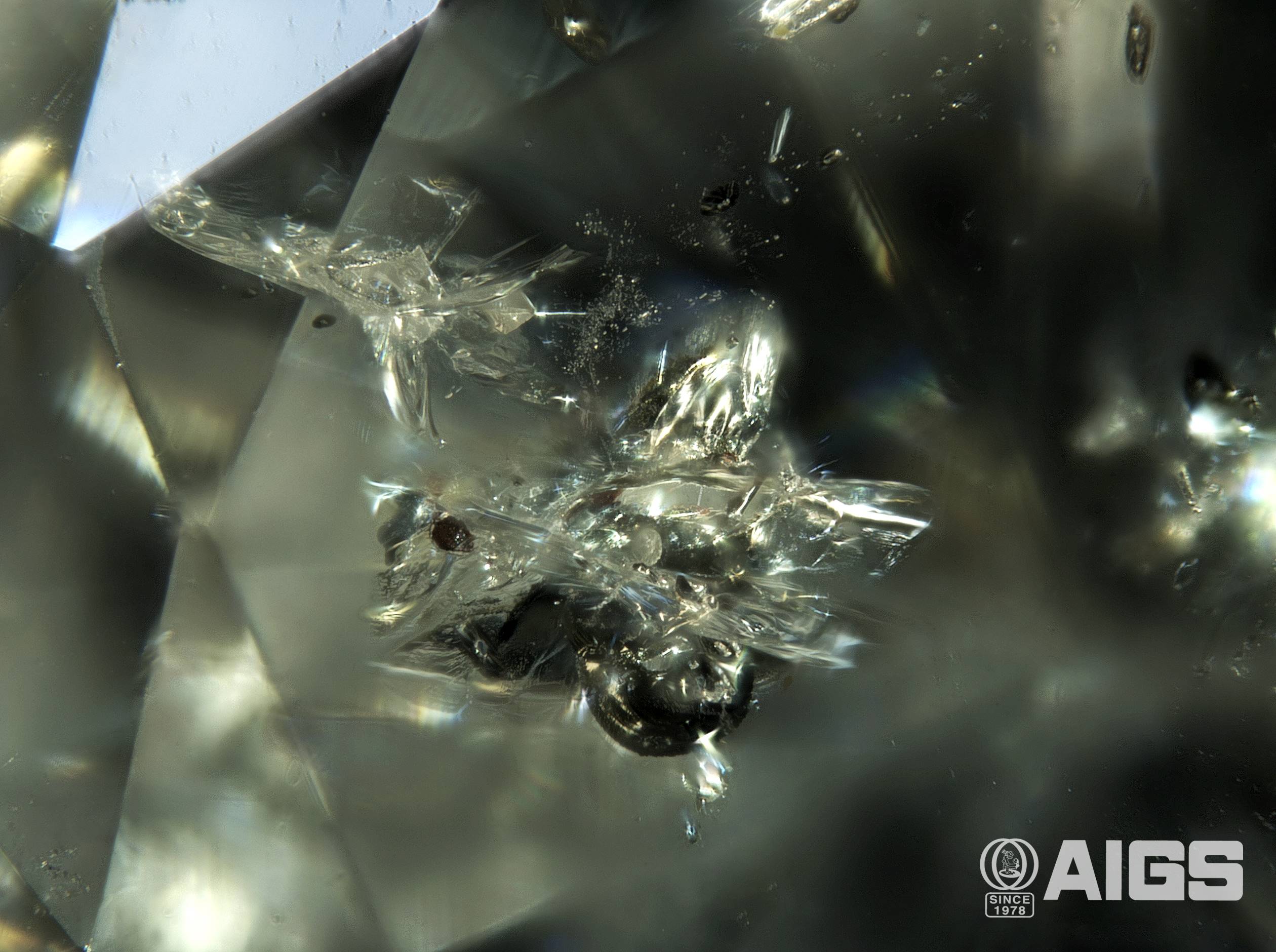 AIGS Inclusion of the Month (April 2026) – Chromite Inclusions in Natural Diamond