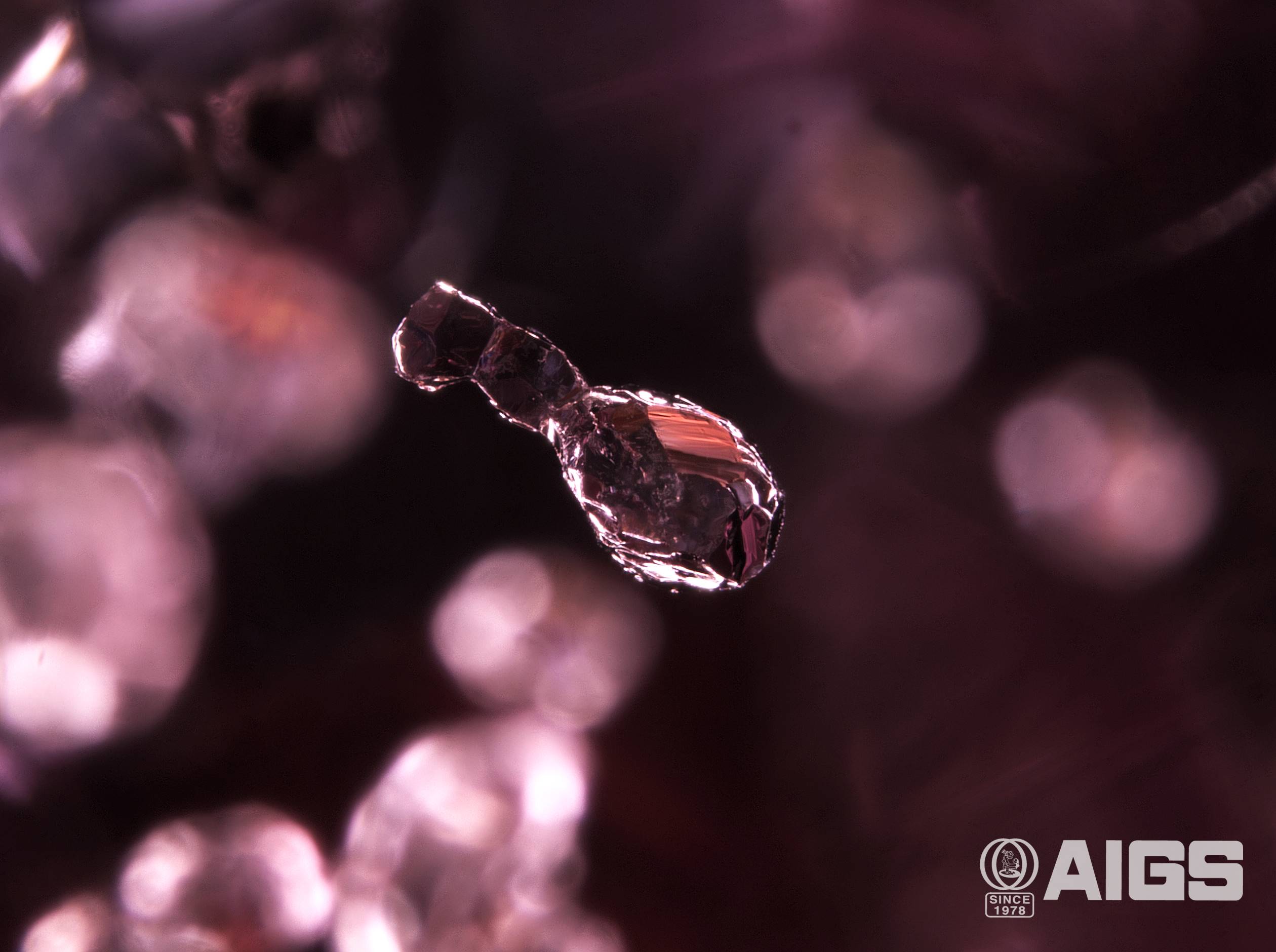 AIGS Inclusion of the Month (August 2026) – Intergrown Apatite Inclusions in Spinel from Myanmar