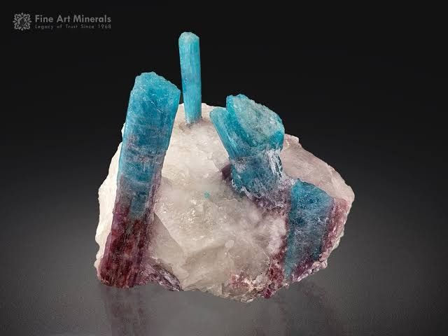 Paraíba Tourmaline: The Neon-Colored Gem – by Rui Galopim de Carvalho