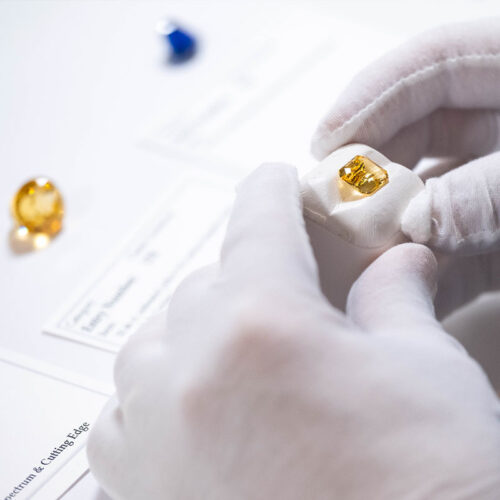 AGTA Spectrum & Cutting Edge Awards – Deadline Extended